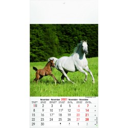 Calendrier 13 pages, Horses