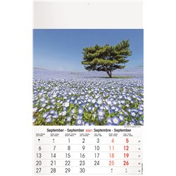 Calendrier 13 pages, Amazing Viusions
