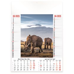 Calendrier 6 pages, Wild & Free réf 630-551
