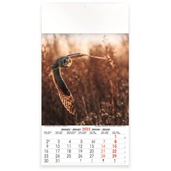 Calendrier 13 pages,Wild & Free