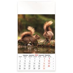 Calendrier 13 pages,Wild & Free