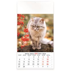Calendrier 13 pages,Cats & Dogs