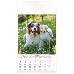 Calendrier 13 pages,Cats & Dogs